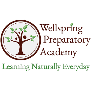 Fundraising Page: Wellspring Preparatory Academy